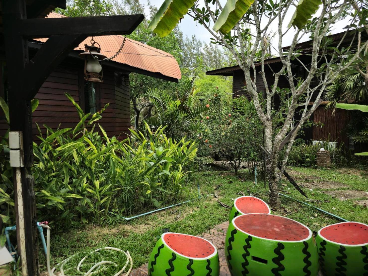 Kaengkrachan Boathouse Paradise Resort Kaeng Kachan Zimmer foto